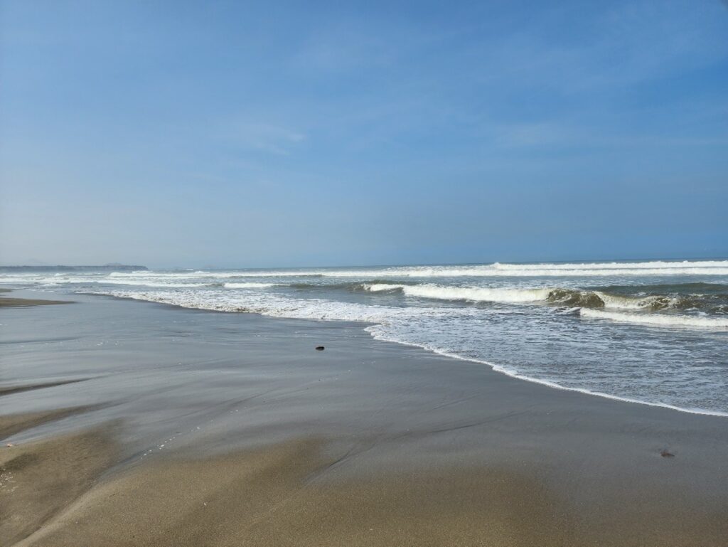 Proyectos en Hidrocarburos JCI