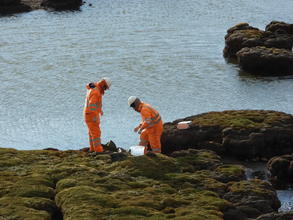 Experiencia Biodiversidad JCI