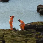 Experiencia Biodiversidad JCI