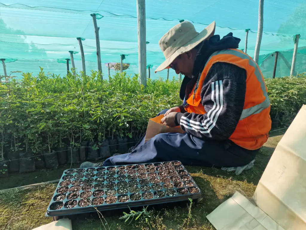 Experiencia Biodiversidad JCI