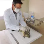 Experiencia Biodiversidad JCI