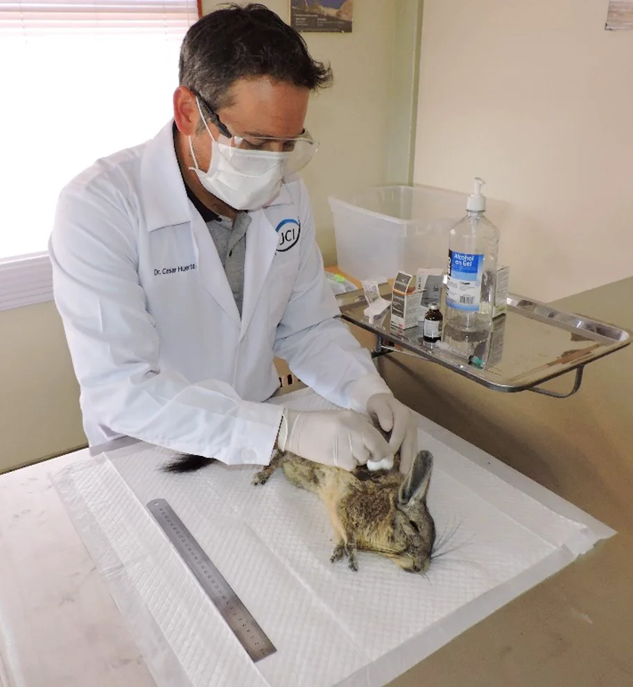 Experiencia Biodiversidad JCI