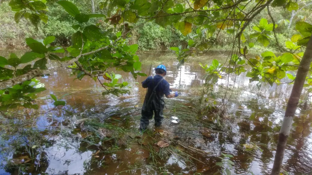 Experiencia Hidrocarburos JCI