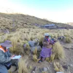 Experiencia Gestión Social JCI