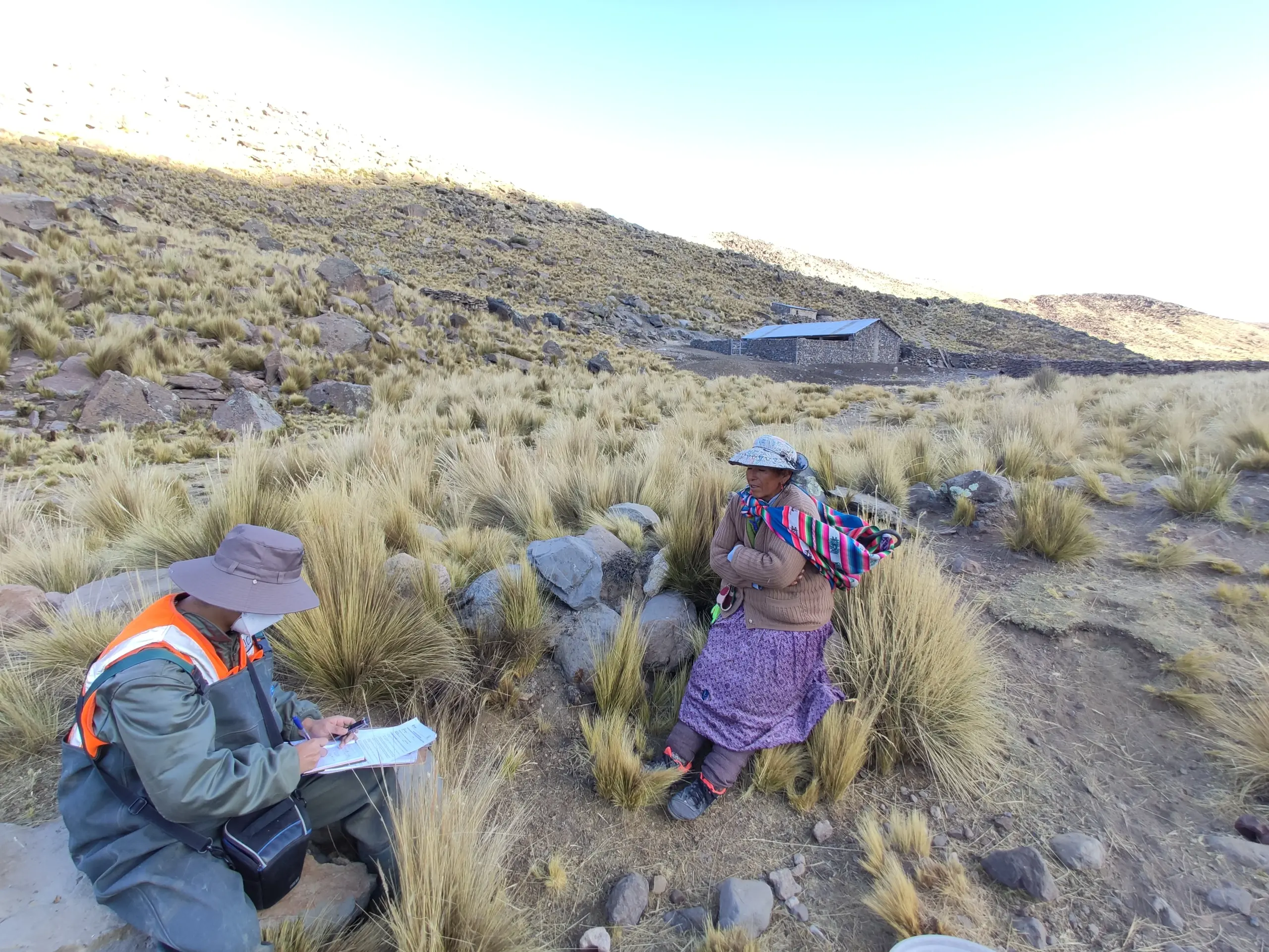 Experiencia Gestión Social JCI