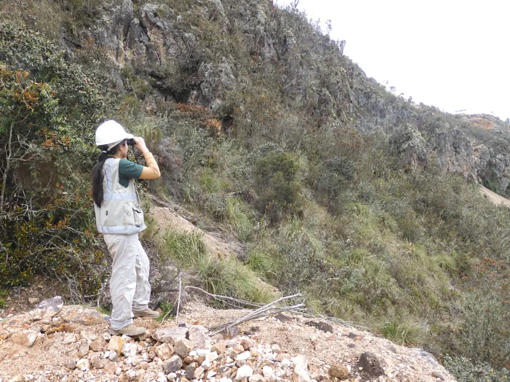 Experiencia Biodiversidad JCI