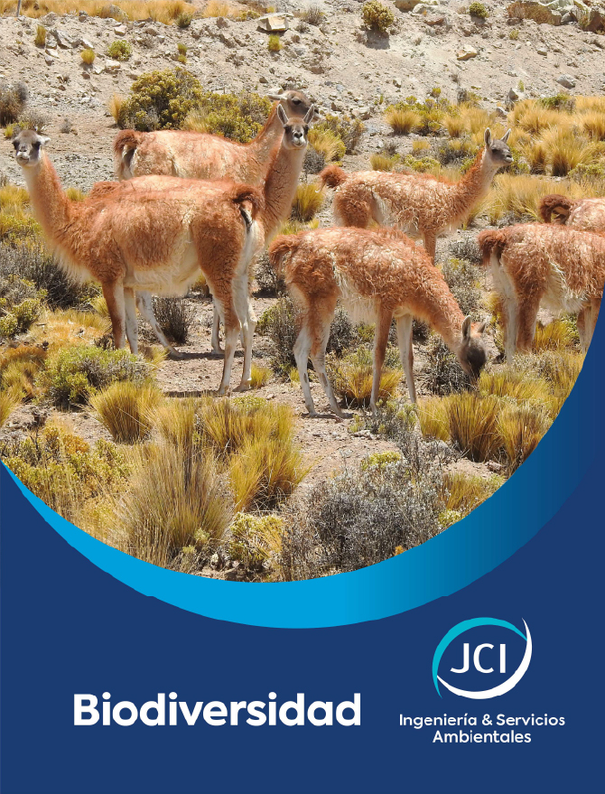 Brochure Biodiversidad JCI