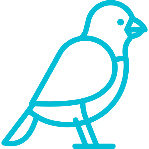 Ícono Biodiversidad JCI