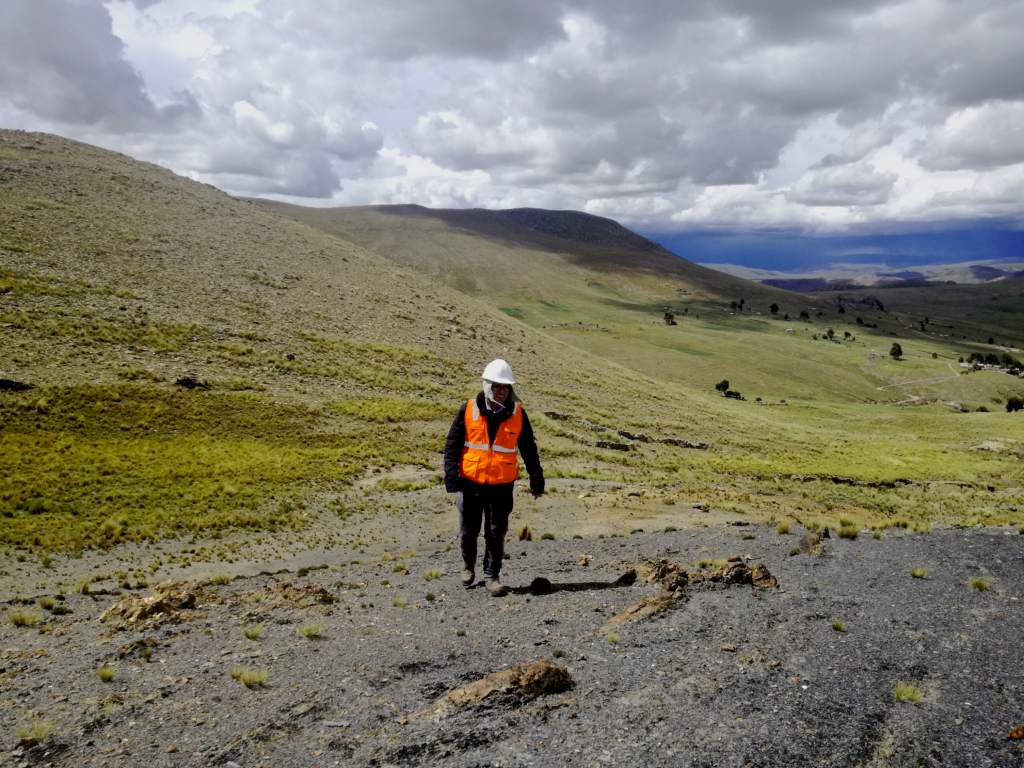 Proyectos en Gestión Social JCI
