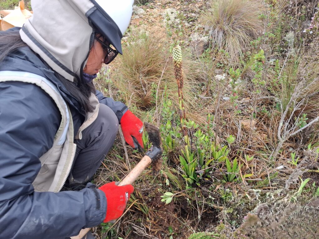 Proyectos en Biodiversidad JCI