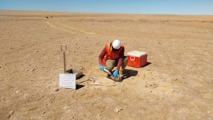 Proyectos en Estudios Ambientales JCI